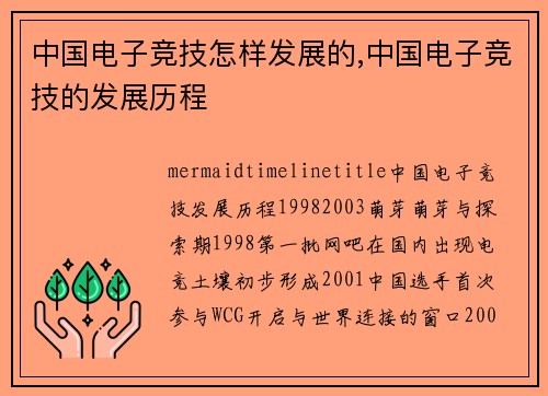 中国电子竞技怎样发展的,中国电子竞技的发展历程